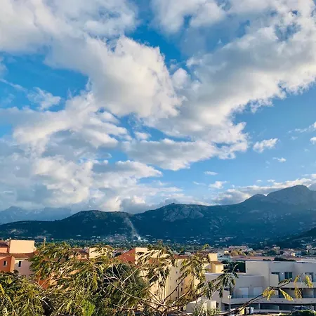Les Asphodeles Calvi Calvi (Corsica)
